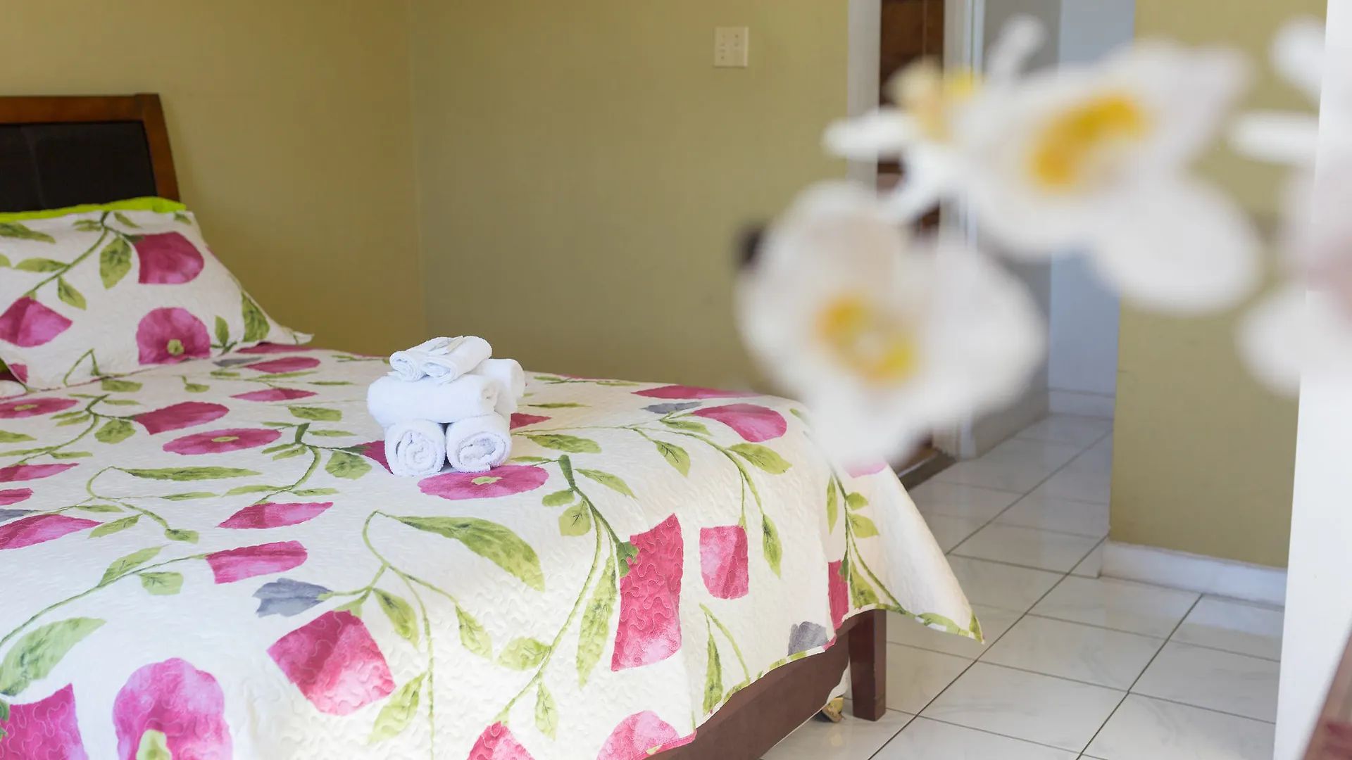 New Kingston Guest Apartment V