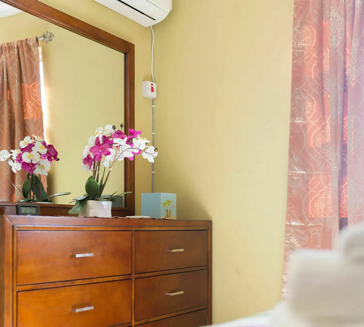 New Kingston Guest Apartment V Jamaica